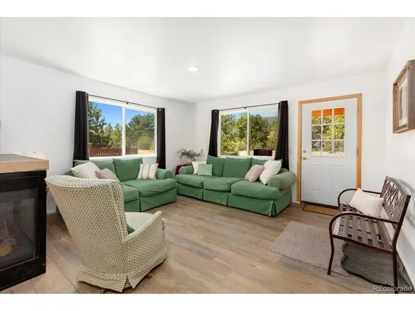 18340 S Lake, Buena Vista, CO 81211