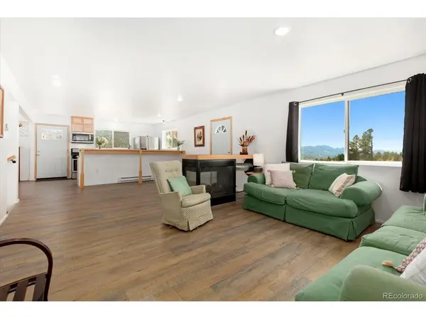 18340 S Lake, Buena Vista, CO 81211