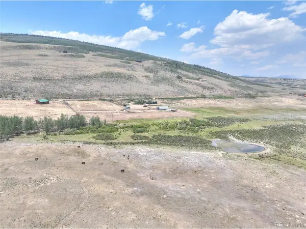 3960 County Road 5, Fairplay, CO 80440