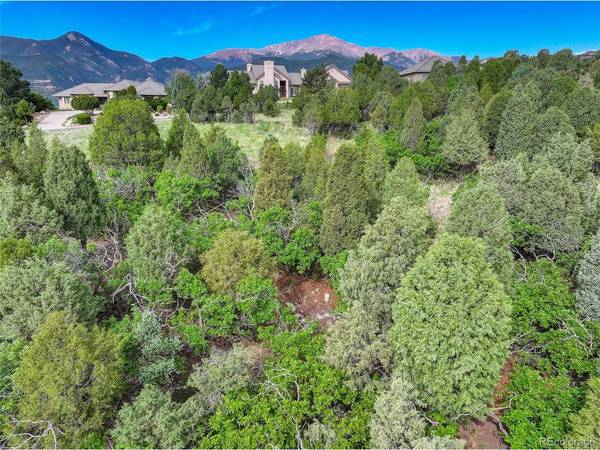3585 Twisted Oak, Colorado Springs, CO 80904