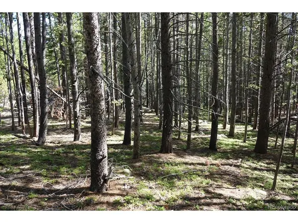 0 Upper Forest Rd, Idaho Springs, CO 80452