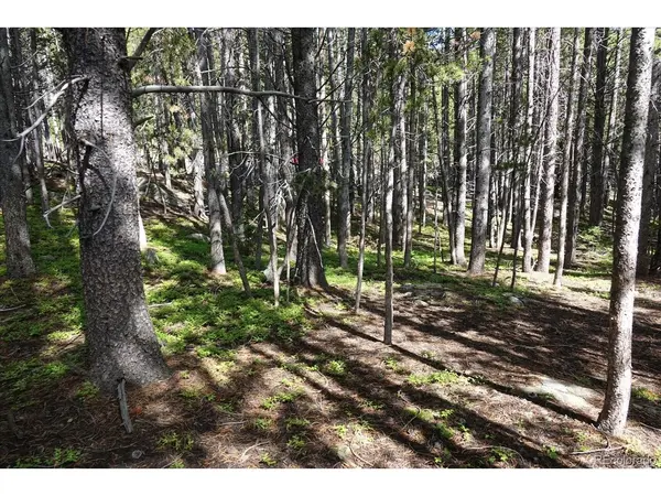 0 Upper Forest Rd, Idaho Springs, CO 80452