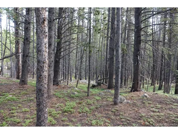 0 Upper Forest Rd, Idaho Springs, CO 80452