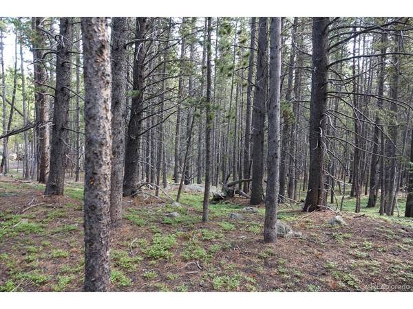 0 Upper Forest Rd, Idaho Springs, CO 80452