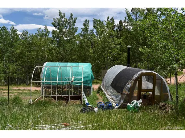 281 Deer, Guffey, CO 80820