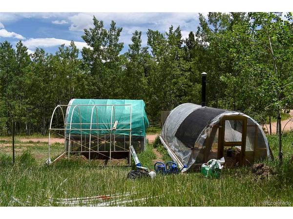 281 Deer, Guffey, CO 80820