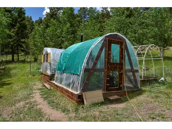 281 Deer, Guffey, CO 80820