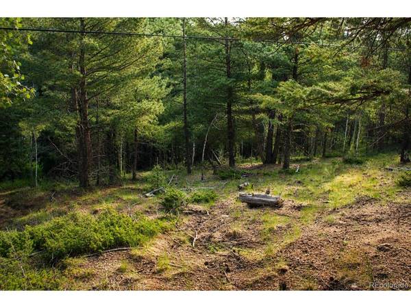 123 Ellis Lake, Divide, CO 80814