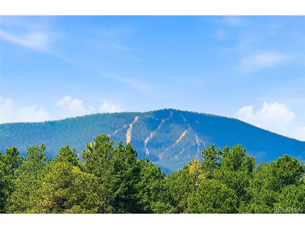 7665 Malamute, Evergreen, CO 80439