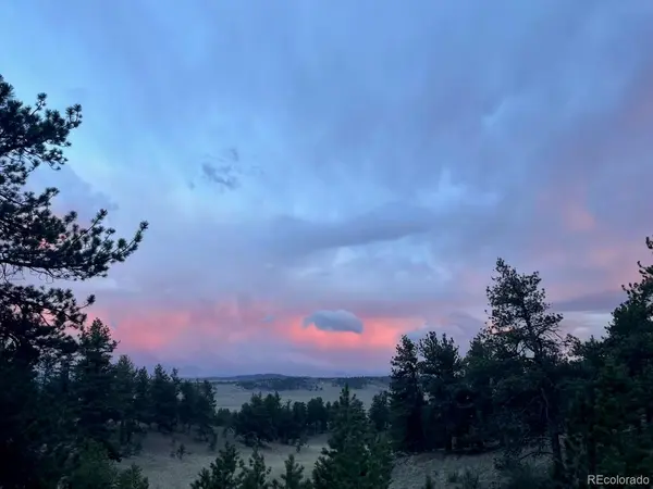 183 Muir Woods, Hartsel, CO 80449