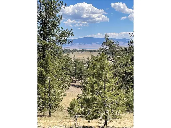 183 Muir Woods, Hartsel, CO 80449