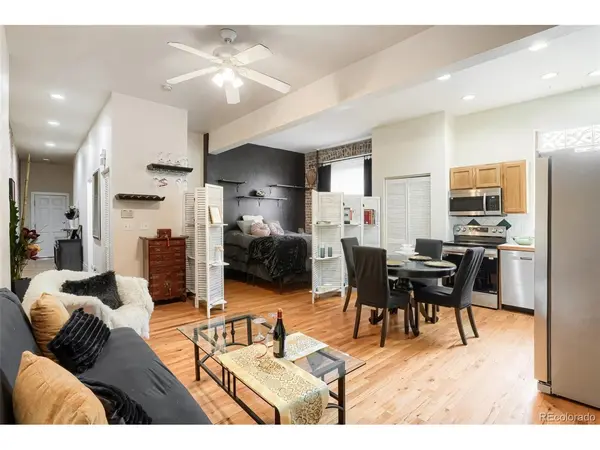 1368 N Downing #3, Denver, CO 80218