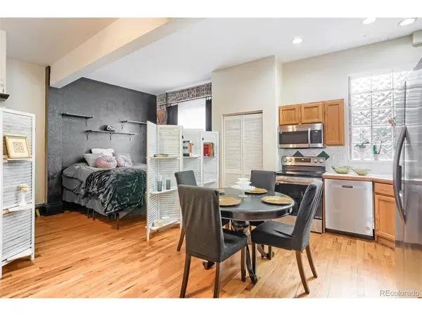 1368 N Downing #3, Denver, CO 80218