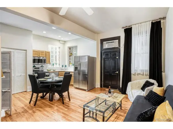 1368 N Downing #3, Denver, CO 80218