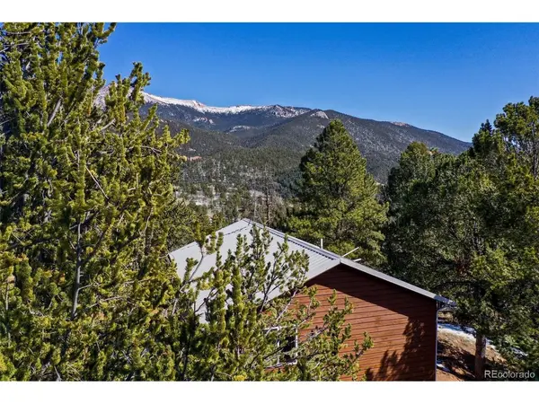 493 Horseshoe, Divide, CO 80814