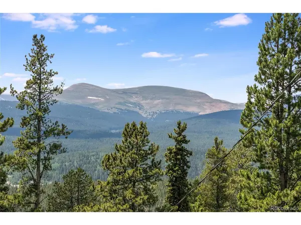 592 Ponderosa, Alma, CO 80440