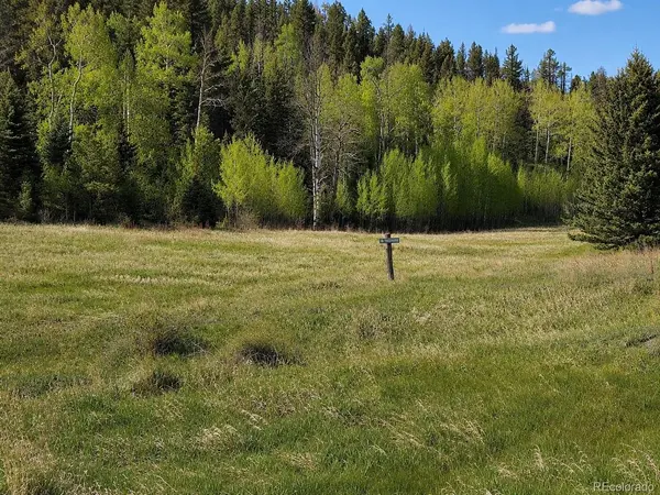 1 Co Rd 358, Westcliffe, CO 81252