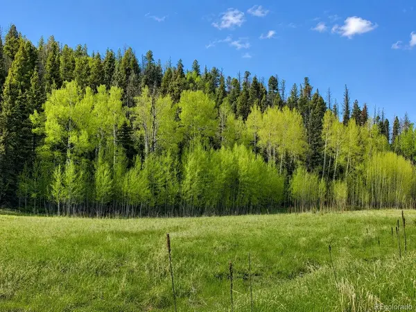 1 Co Rd 358, Westcliffe, CO 81252