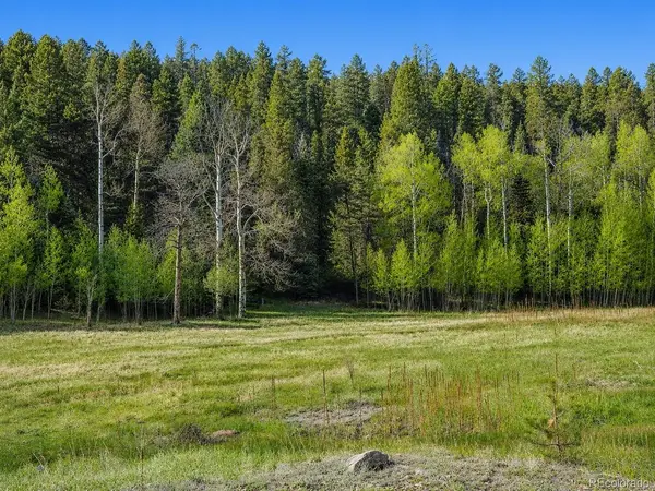 1 Co Rd 358, Westcliffe, CO 81252