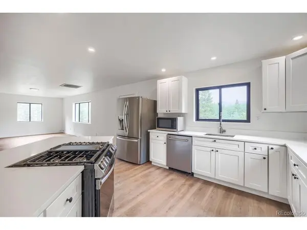 93 Prospect, Alma, CO 80420