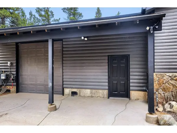 93 Prospect, Alma, CO 80420