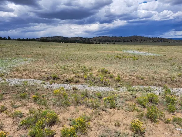 389 Park, Hartsel, CO 80449