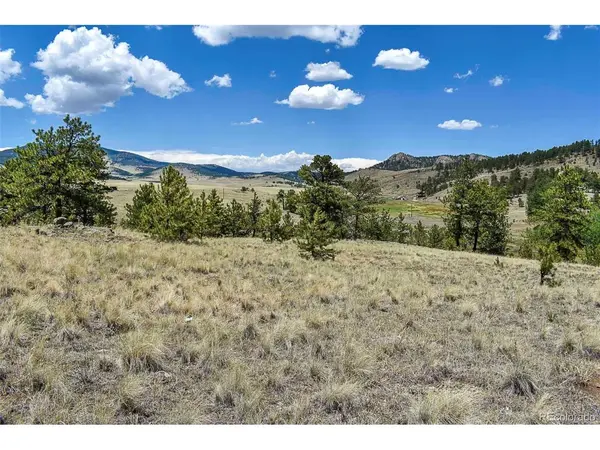 4278 County Road 71, Guffey, CO 80820