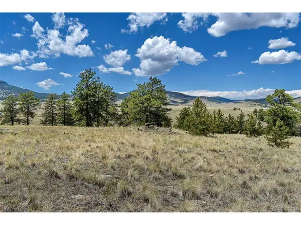 4278 County Road 71, Guffey, CO 80820