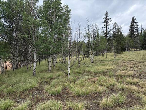 383 Spearpoint, Como, CO 80456