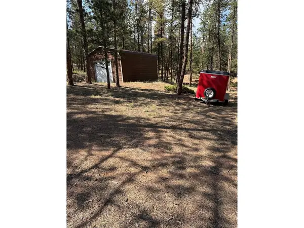 39 Rabbil Creek, Florissant, CO 80816