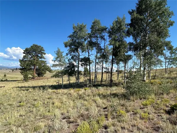 443 Saddle Horn, Hartsel, CO 80449