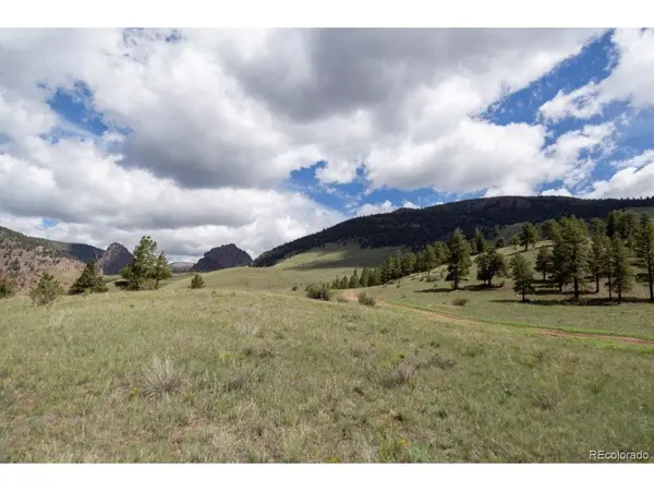 730 Cliff View, Creede, CO 81130