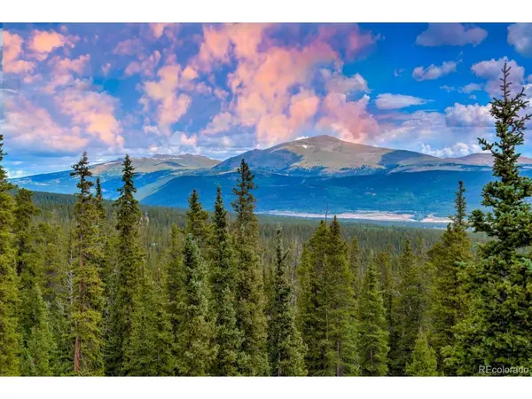 137 Porcupine, Fairplay, CO 80440
