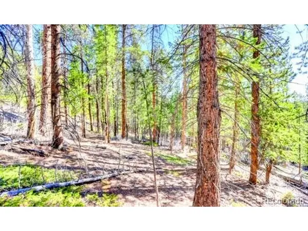 2222 Swift Claim, Georgetown, CO 80444