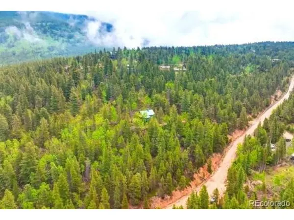 2222 Swift Claim, Georgetown, CO 80444
