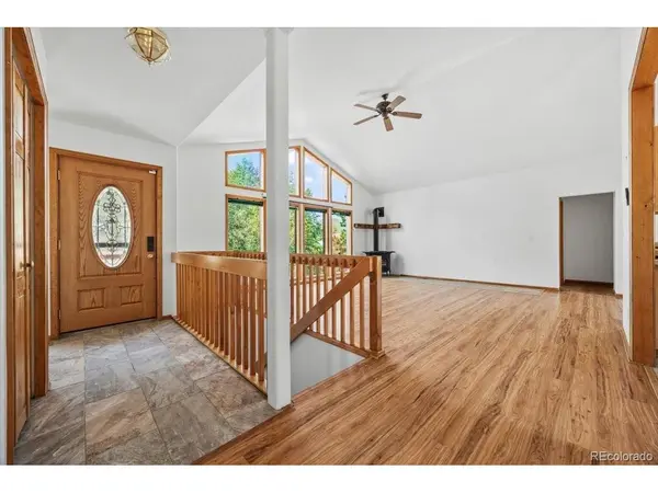 641 County Road 72, Bailey, CO 80421