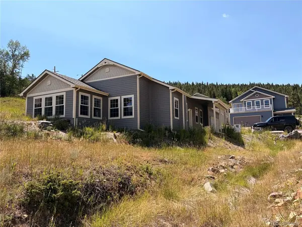 100 Roworth, Central City, CO 80427