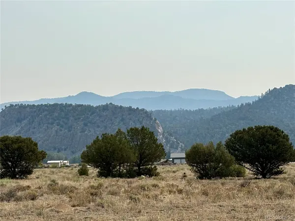 10795 County Road 197a #127, Nathrop, CO 81236