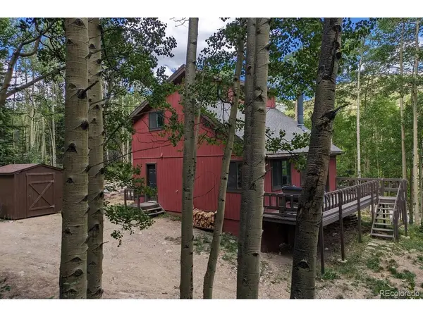 288 Roberts, Alma, CO 80420
