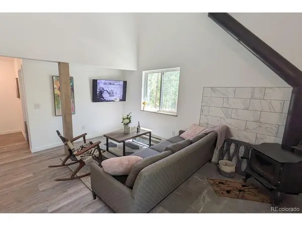 288 Roberts, Alma, CO 80420