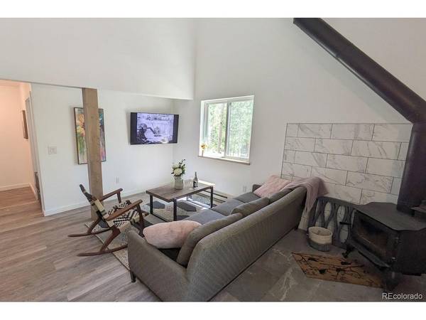288 Roberts, Alma, CO 80420