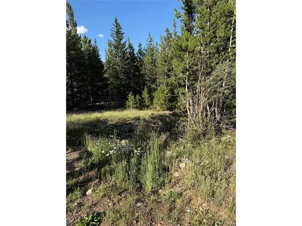 343 Aspen, Idaho Springs, CO 80452