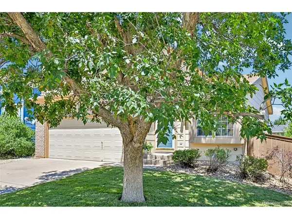 2531 Cove Creek, Littleton, CO 80129