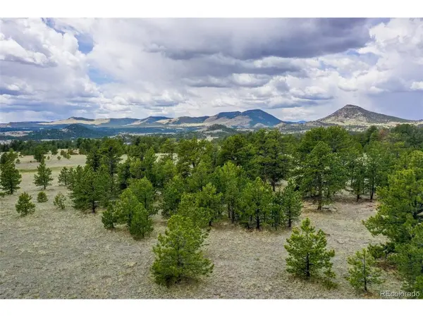 0 Doe Valley, Guffey, CO 80820