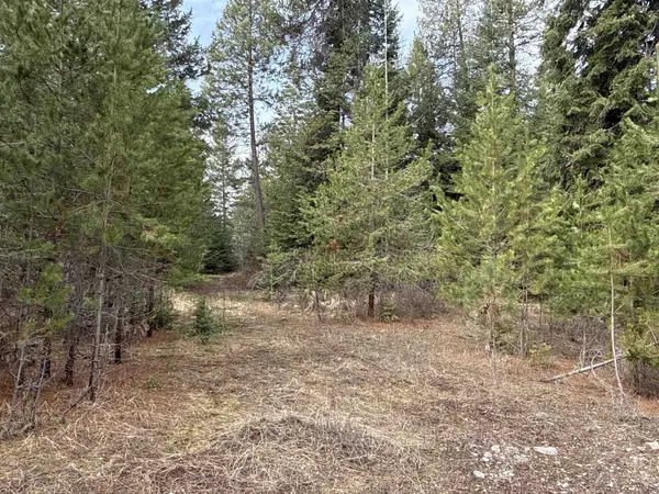 4828 Eagle Ridge WAY, Springdale, WA 99173
