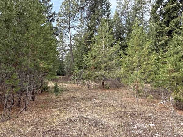 4828 Eagle Ridge WAY,  Springdale,  WA 99173