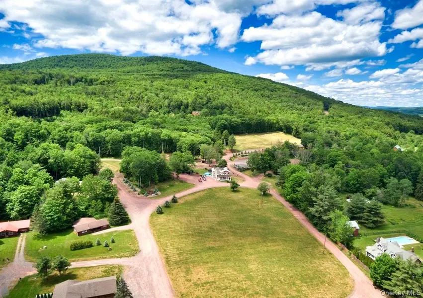 226 State Route 296, Windham, NY 12496