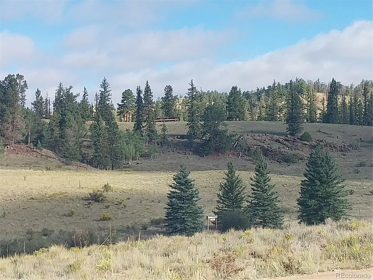 1167 Latigo, Hartsel, CO 80449