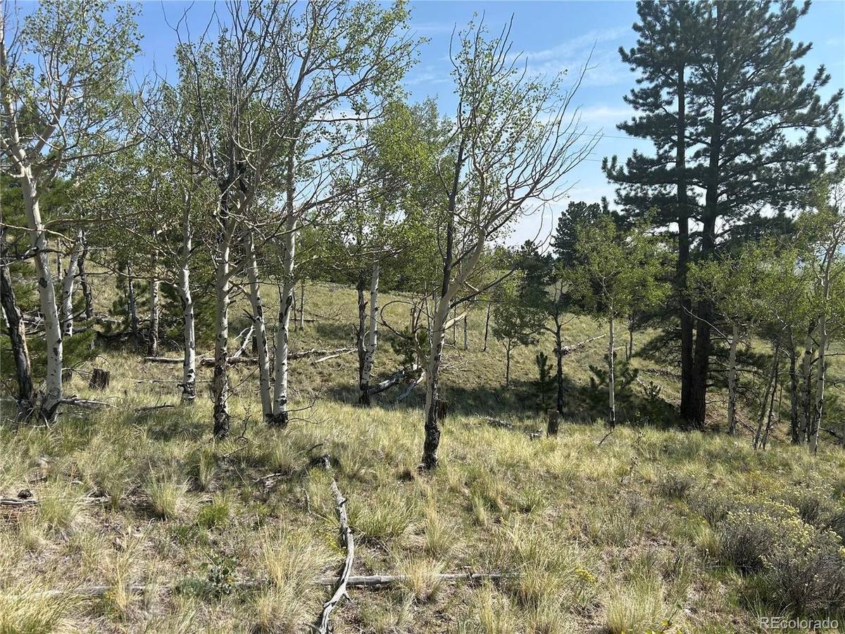 11414 Ranch, Hartsel, CO 80449