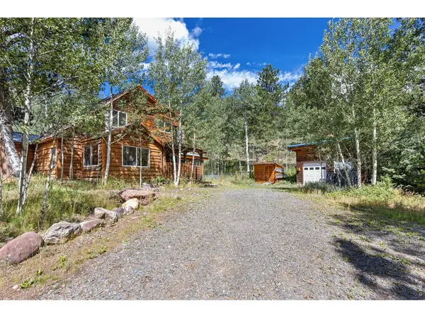 665 Lower Travis Gulch, Black Hawk, CO 80422
